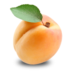Quả Đào - Apricot (21)