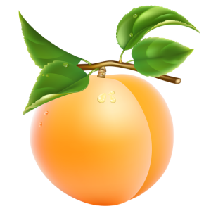 Quả Đào - Apricot (23)