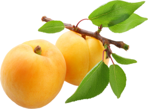 Quả Đào - Apricot (3)