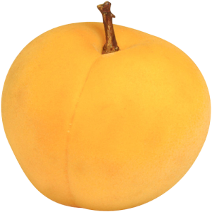 Quả Đào - Apricot (9)