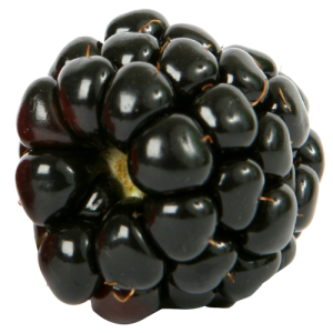 Quả Dâu Đen - Berry (39)