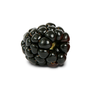 Quả Dâu Đen - Berry (42)