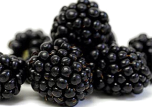 Quả Dâu Đen - Berry (45)