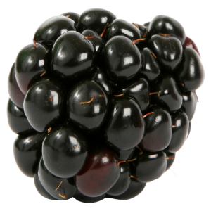 Quả Dâu Đen - Berry (46)