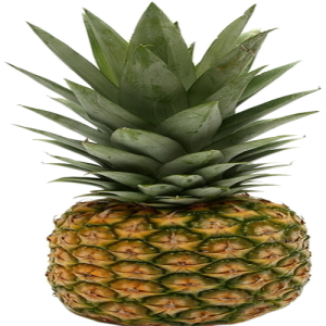 Quả Dứa 3103 (1)