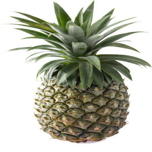 Quả Dứa 3103 (2)