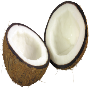 Quả Dừa - Coconut PNG (11)