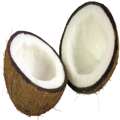 Quả Dừa - Coconut PNG (11)