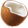 Quả Dừa - Coconut PNG (12)