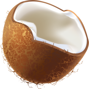 Quả Dừa - Coconut PNG (12)