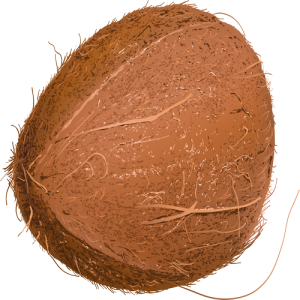 Quả Dừa - Coconut PNG (15)