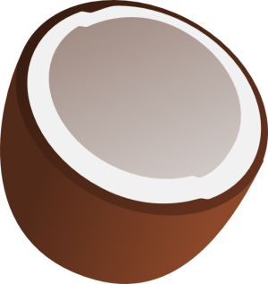 Quả Dừa - Coconut PNG (22)