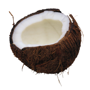 Quả Dừa - Coconut PNG (25)