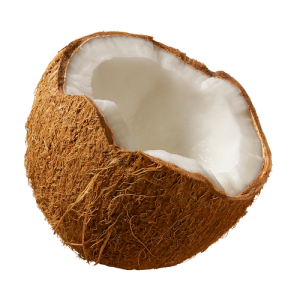 Quả Dừa - Coconut PNG (26)