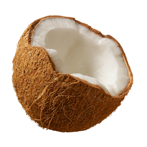 Quả Dừa - Coconut PNG (26)