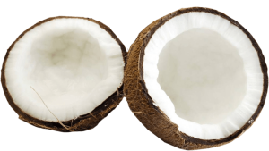 Quả Dừa - Coconut PNG (27)