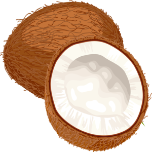 Quả Dừa - Coconut PNG (28)