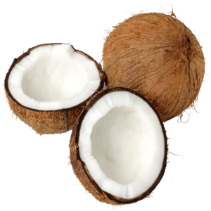 Quả Dừa - Coconut PNG (29)