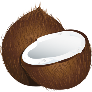 Quả Dừa - Coconut PNG (30)