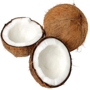 Quả Dừa - Coconut PNG (6)