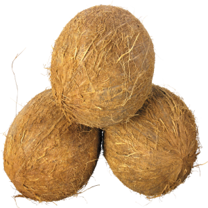 Quả Dừa - Coconut PNG (9)