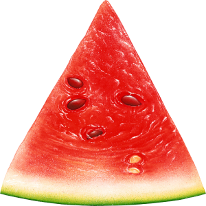 Quả Dưa Hấu - watermelon PNG (12)