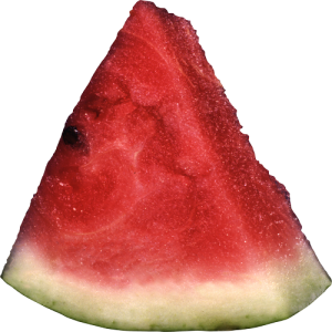 Quả Dưa Hấu - watermelon PNG (13)