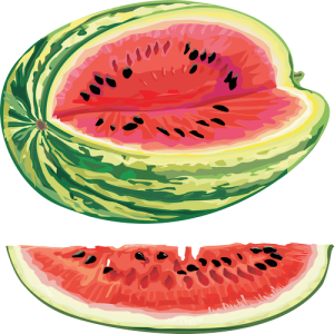 Quả Dưa Hấu - watermelon PNG (17)