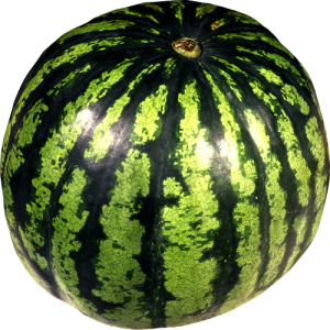 Quả Dưa Hấu - watermelon PNG (19)