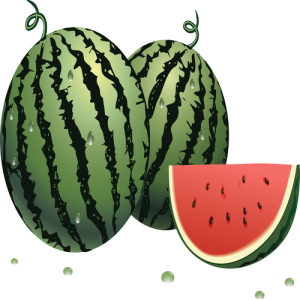 Quả Dưa Hấu - watermelon PNG (26)