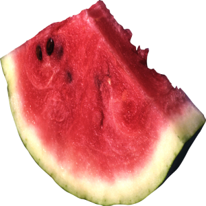 Quả Dưa Hấu - watermelon PNG (27)