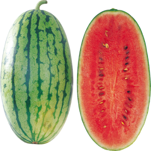 Quả Dưa Hấu - watermelon PNG (29)