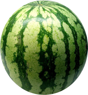 Quả Dưa Hấu - watermelon PNG (3)