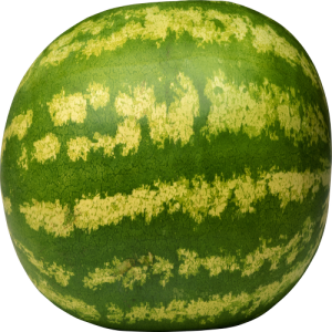 Quả Dưa Hấu - watermelon PNG (30)