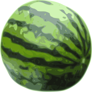 Quả Dưa Hấu - watermelon PNG (4)