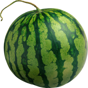 Quả Dưa Hấu - watermelon PNG (7)