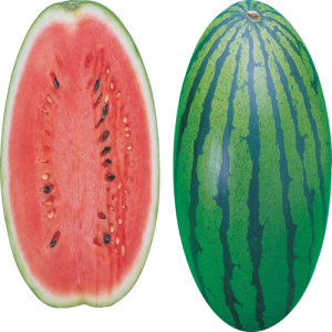 Quả Dưa Hấu - watermelon PNG (9)