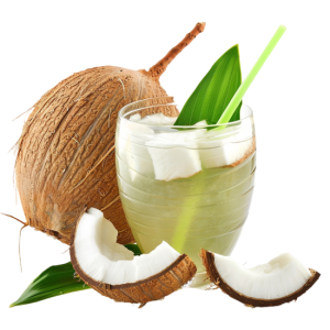 Quả Dừa - Nước Dừa 3103 (1)