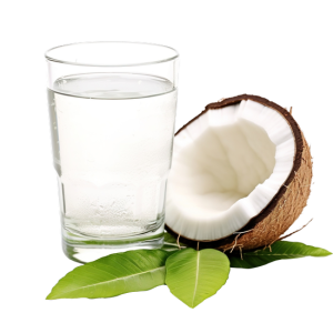 Quả Dừa - Nước Dừa 3103 (2)