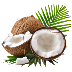 Quả Dừa - Nước Dừa 3103 (3)