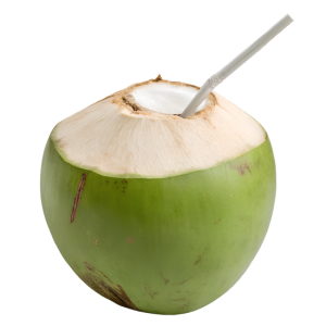 Quả Dừa - Nước Dừa 3103 (6)