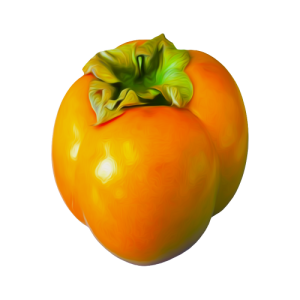Quả Hồng - Persimmon PNG (4)