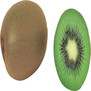 Quả Kiwi - Kiwi PNG (10)