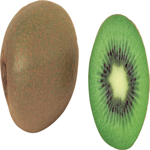 Quả Kiwi - Kiwi PNG (10)