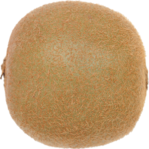 Quả Kiwi - Kiwi PNG (12)
