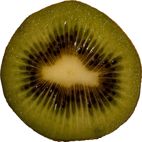 Quả Kiwi - Kiwi PNG (18)