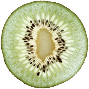 Quả Kiwi - Kiwi PNG (19)