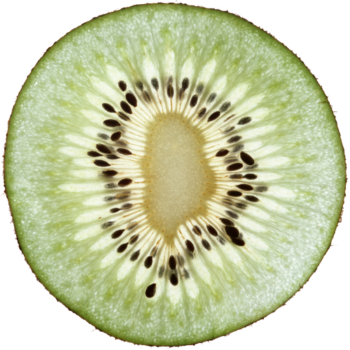 Quả Kiwi - Kiwi PNG (19)
