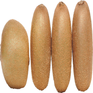 Quả Kiwi - Kiwi PNG (20)