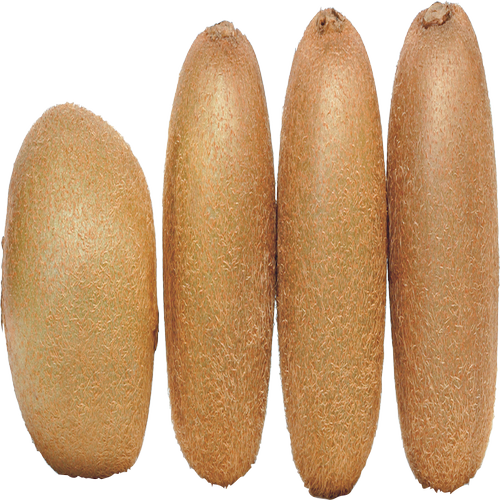 Quả Kiwi - Kiwi PNG (20)